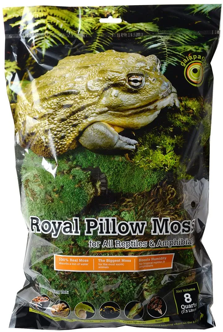 Galapagos Royal Pillow Moss