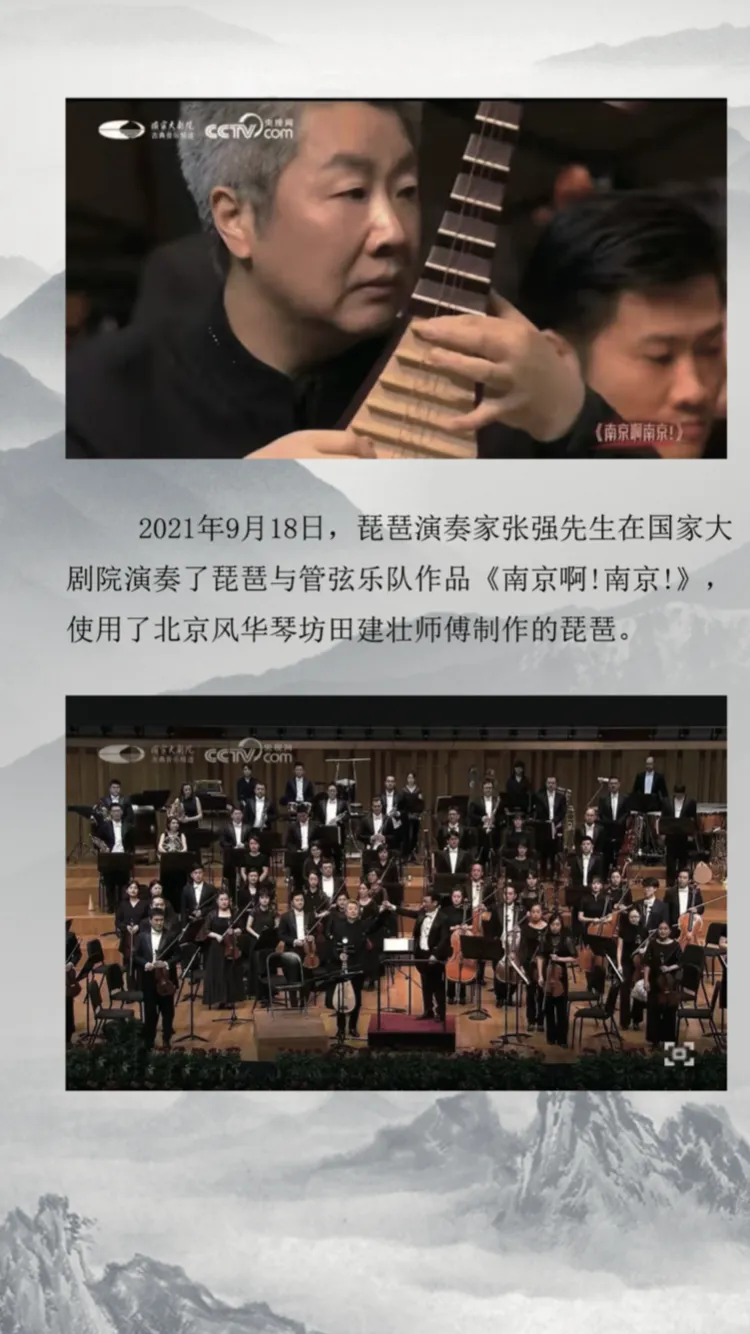 LANDTOM Top-grade Rosewood/African Redwood Chinese Lute Traditional National Stringed Instrument PiPa made by famous pipa masters Tianjianzhuang