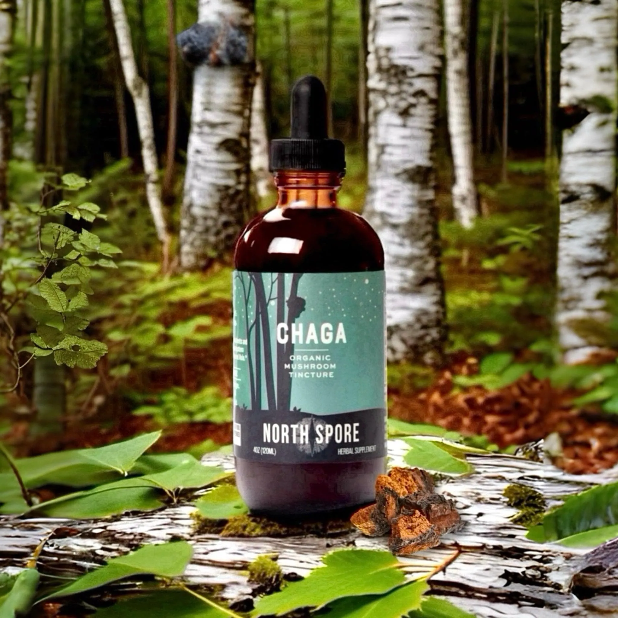 Organic Chaga Mushroom Tincture