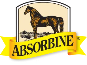 Showsheen Finishing Mist Aerosole