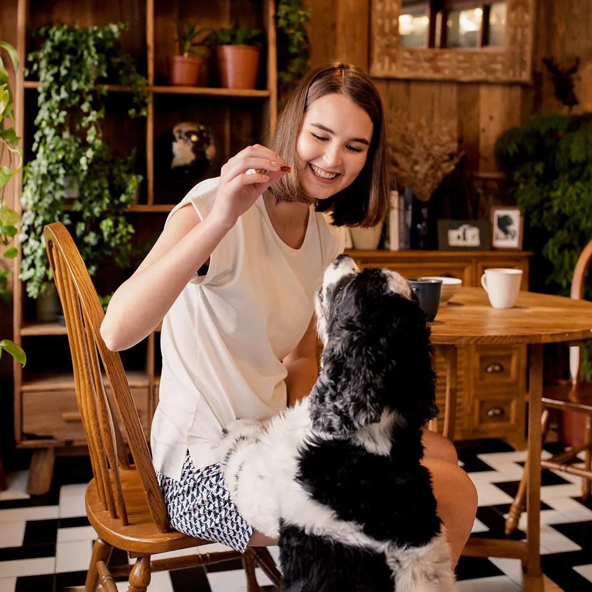Underdog® x Silktouch TENCEL™ Modal Air Printed Lounge Shorts