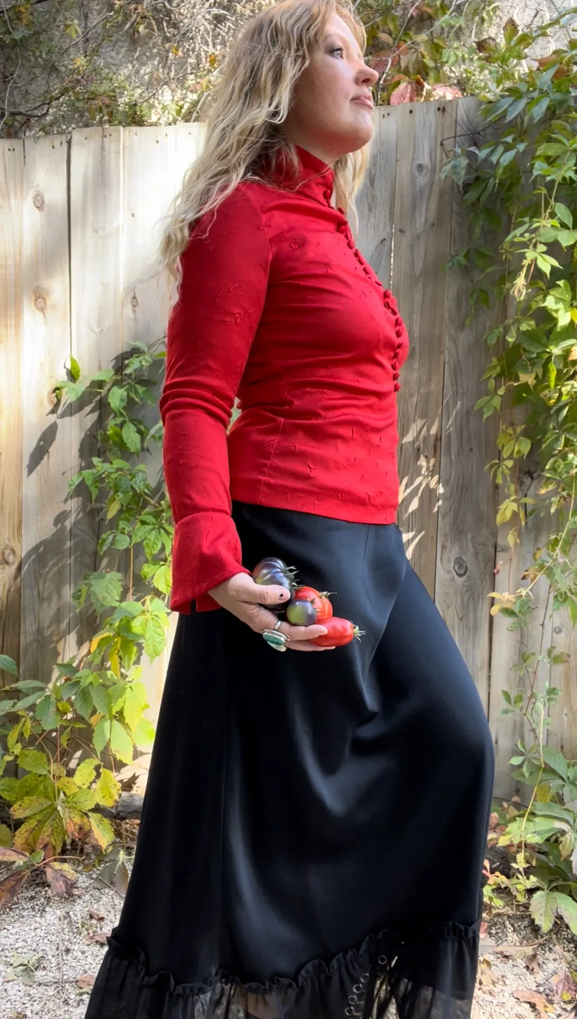 Vintage 70's Red Gothic Top